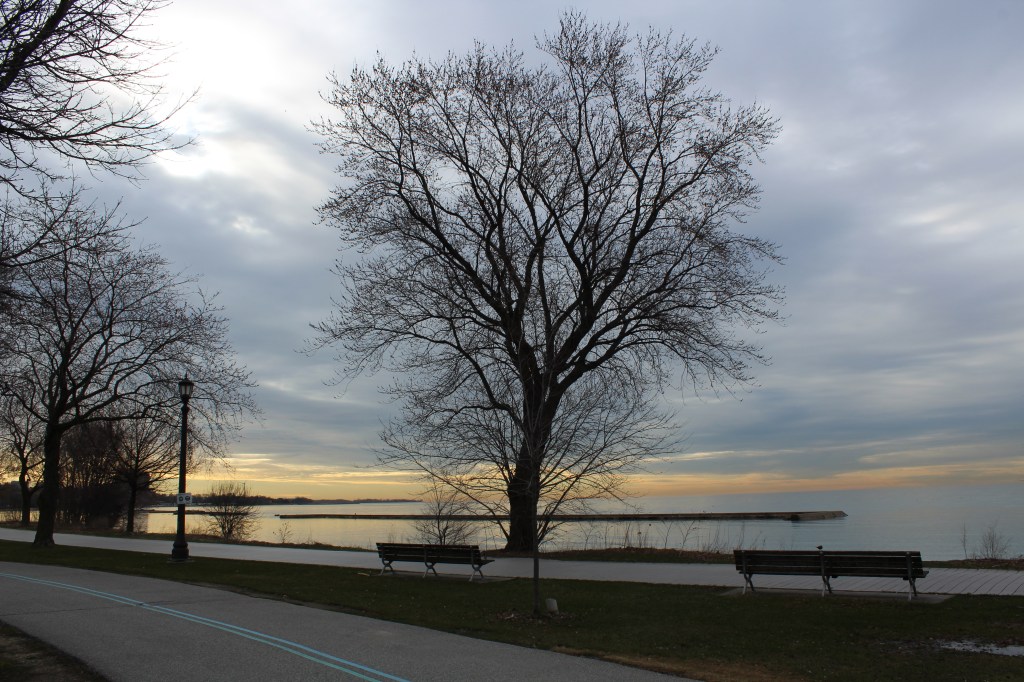 Mental health systems