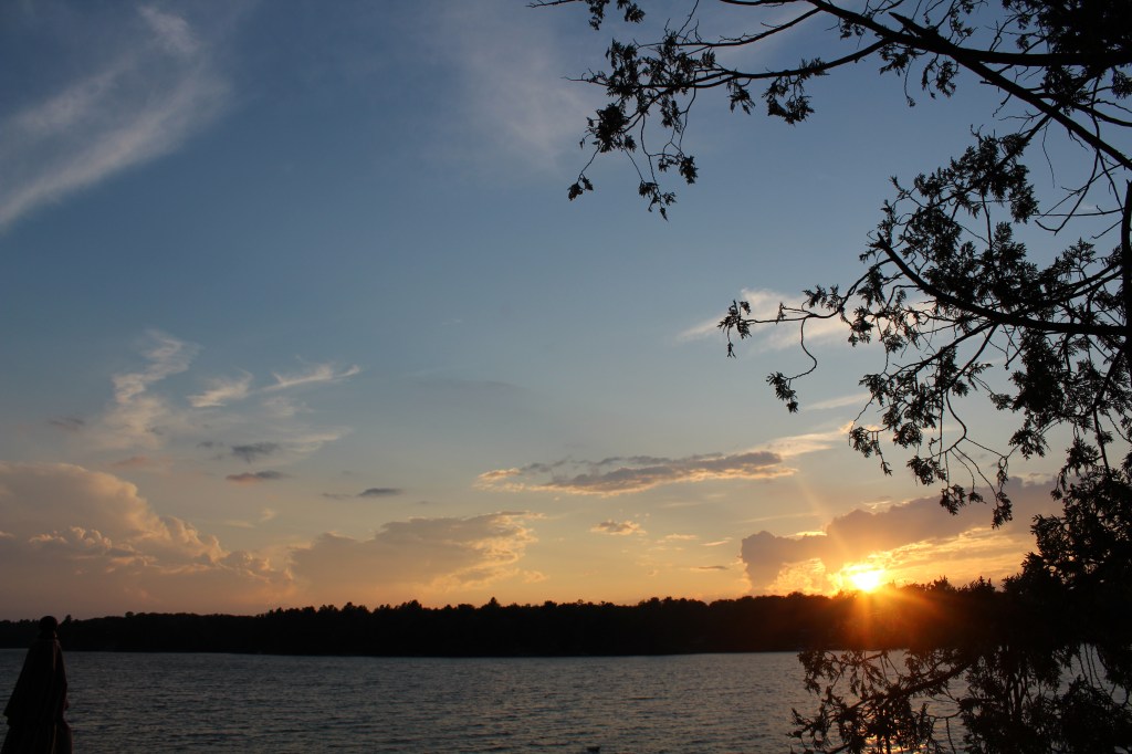 Understanding the Healing Process: A Personal&nbsp;Journey